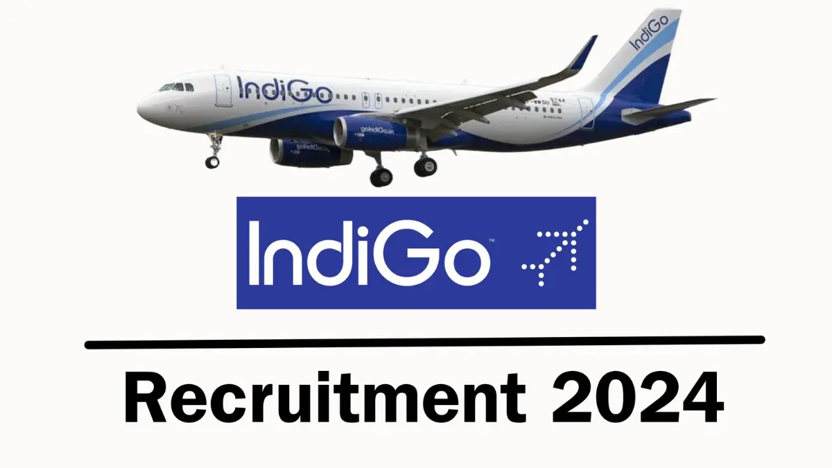 Indigo Recruitment 2024